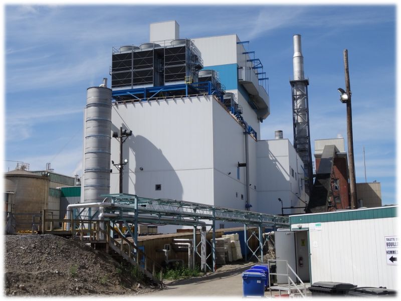 60MG Co-Generation Power Plant Project